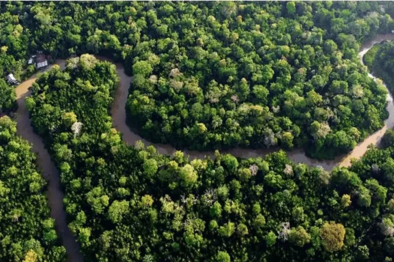 Ancient Lost City Uncovered
