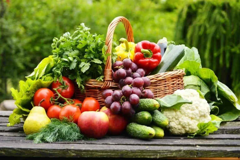 Benefits of Eating Fresh Vegetables for Better Health